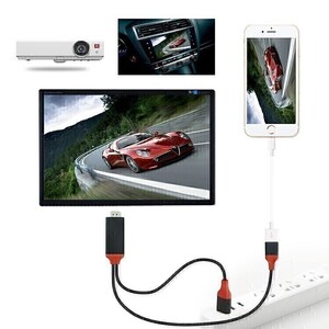 HDMI 変換ケーブル 1m iPhone スマホ テレビ 簡単接続 動画 鑑賞 現品のみ (B2106368)