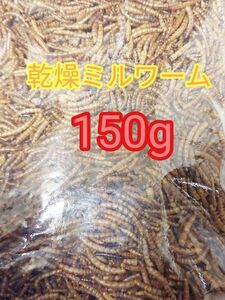 乾燥ミルワーム150g ハムスター フクロモモンガ ハリネズミ 小動物 爬虫類 鳥 トカゲ カエル ドライミルワーム