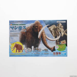 【中古】[PTM]Exploring Lab Nature(エクスプローリングラボネイチャー) マンモス プラモデル(5062179) バンダイスピリッツ(63059863)