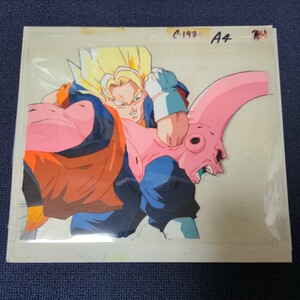 ドラゴンボールZ　セル画　ベジット　魔人ブウ　未着色セル画　動画付