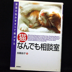 ◆『猫なんでも相談室』 愛猫の悩みをすべて解決する (2002)◆加藤由子◆高橋書店