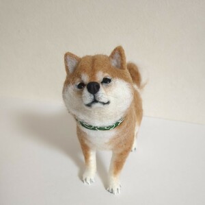 羊毛フェルト　柴犬　豆柴　唐草模様　犬　ハンドメイド　〜ともじろう〜