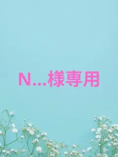 N...様専用