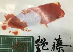 艶藤800グラム 沈下性1.2㎜(金魚 らんちゅう 東錦 琉金 オランダシシガシラ 熱帯魚 川魚 錦鯉)(増体 色揚げ 高嗜好性)バイオ科学株式会社