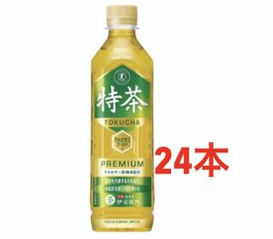 送料無料　特定保健用食品　サントリー緑茶 伊右衛門「特茶TOKUCHA」500ml×24本