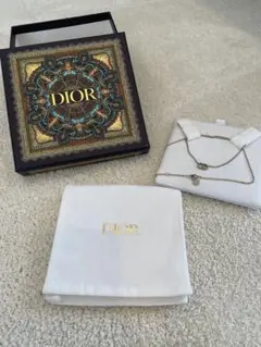 Dior チェーンネックレス ロゴチャーム付き