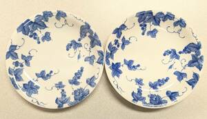 TACHIKICHI CORP. TABLEWARE 染付 白 藍色系 ぶどう 絵 丸中皿 2客 カレー皿 サラダ たち吉 洋食器 直径約19.7cmで使いやすい