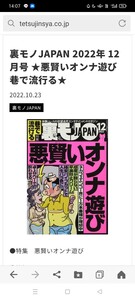 裏モノJAPAN 2022年 12 月号 ★悪賢いオンナ遊び 巷で流行る★ 2022.10.23 裏モノJAPAN ●特集 悪賢いオンナ遊び ●新品未使用に近いです