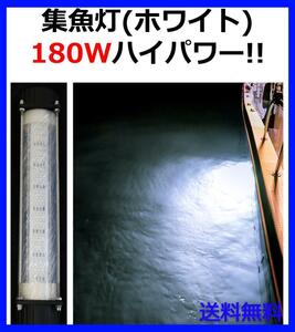 180W 集魚灯【ホワイト】DC12V LED 水中ライト 7ｍコード 付