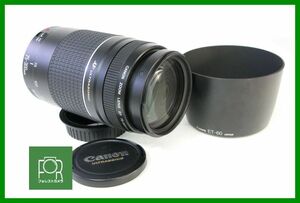 【同梱歓迎】【動作保証・点検済】良品■キヤノン Canon EF 75-300mm F4-5.6 III USM■AB1003