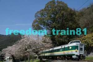 鉄道写真 04365:381系緑やくも 桜