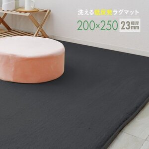 ラグ カーペット ラグマット Lサイズ 200x250cm 極厚23mm 3.2畳 床暖房 抗菌 防ダニ 低反発 絨毯 リビング マット 滑り止め ダークグレー