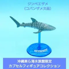 訳あり【沖縄美ら海水族館限定】カプセルフィギュアコレクション ジンベエザメ