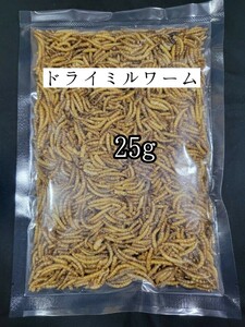 ドライミルワーム25g 小動物 爬虫類 ハムスター フクロモモンガ ハリネズミ トカゲ 鳥類 鶏 アクアリウム