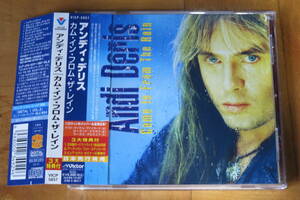 アンディ・デリス ANDY DERIS/Come In From The Rain 国内盤 帯付き　HELLOWEEN