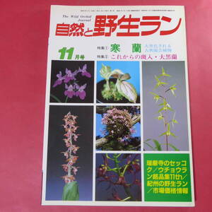 YN4-241219☆自然と野生ラン 1986年11月号　ウチョウラン　寒蘭　エビネ　ネジバナ　長生蘭　キバナノセッコク　大黒蘭　※ 園芸JAPAN