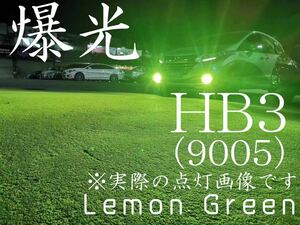 HB3 LED フォグランプ レモングリーン H72 50w 爆光 9005