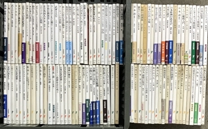 岩波新書 まとめて 100冊以上 セット 物理学はいかに創られたか 日本人の英語 歴史とは何か 他