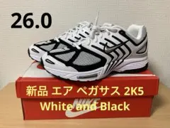 新品 エア ペガサス 2K5 White and Black