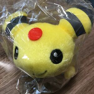 ポケットモンスター デンリュウ