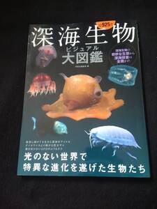 深海生物　ビジュアル大図鑑　ダイオウイカ　稀少　巨大ザメ　タコ　クラゲ　アンコウ　エビ　ウナギ　シーラカンス　特異な進化　海底　