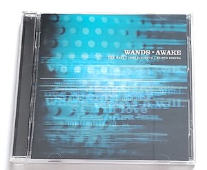 WANDS/AWAKE