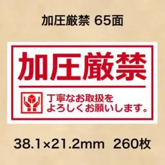 ケアシール 加圧厳禁 65面