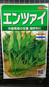 ３袋セット エンツァイ 中国野菜 エンサイ 種 郵便は送料無料