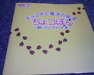 DS攻略本 チョコボと魔法の絵本 ちょコぼん 初版