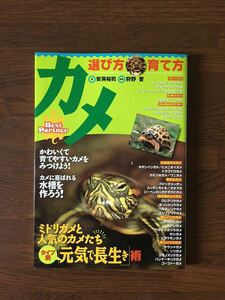 カメ 選び方 育て方 安斉裕司 著 タイプ別元気で長生き術 亀 かめ