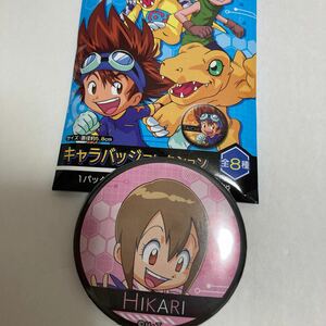 デジモンアドベンチャー　キャラ缶バッジコレクション　八神ヒカリ