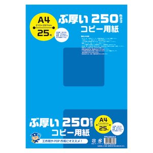 4901470087828 ぶ厚い250ｇｓｍコピー用紙Ａ4 ＰＣ関連用品 ＯＡ用紙 コピー用紙 日本ノート（キョ PPC250A4