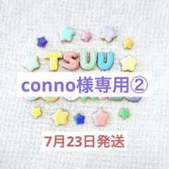 conno様専用②オーダーアイシングクッキー