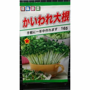 ３袋セット かいわれ大根 カイワレ 種 郵便は送料無料