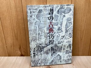 書の古典彷徨　拓本に託した書芸術　1999年　牛丸好一　CGD2859