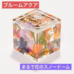 hikka ブルームアクア キューブ お花 プレゼント 母の日 ドライフラワー