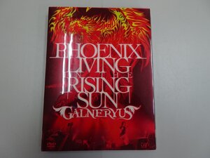 DVD　GALNERYUS　PHOENIX LIVING IN THE RISING SUN　2DVD+2CD　ガルネリウス　Syu・小野正利