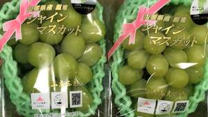 山梨県産 ふえふき シャインマスカット 優品以上 2房 約1kg 温室栽培