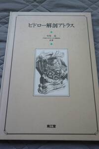 ビトロー解剖アトラス　中原泉　人体解剖　解剖学　美術解剖学　デッサン　銅版画　