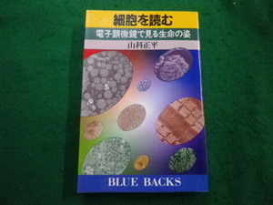 ■細胞を読む 　山科正平ブルーバックス 講談社■FAIM2024062110■