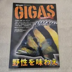 怪魚飼育マガジン　GIGAS　ギガス　Vol.5