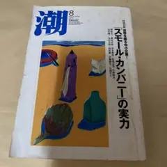 早い者勝ち‼️潮　　2004年8月号書籍　希少品お買い得品❣️