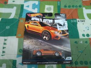 【中古品】 2014 CUSTOM MUSTANG ①