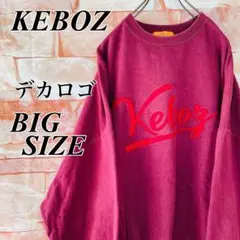 【激レアカラー】ケボズKEBOZ スウェットトレーナーデカロゴビックサイズ2XL