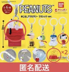 PEANUTS めじるし アクセサリー ガチャ スヌーピー ピーナッツ