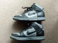 NIKE DUNK HI LE 90