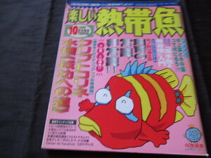 楽しい熱帯魚　1999.10月天馬号　クリプトコリネ水槽（成功への道）　「海水魚＆無脊椎」入門　