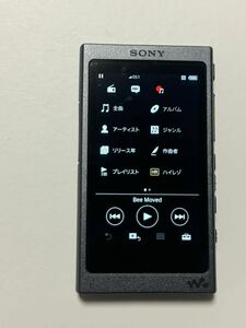 SONY WALKMAN ソニーウォークマン モデルNW-A35 