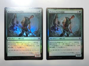 【MTG】★Foil　ギャレンブリグの従者　日本語2枚セット　エルドレインの王権　ELD　コモン