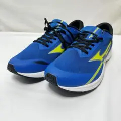 MIZUNO ミズノ デュエルソニック シューズ　28.5㎝